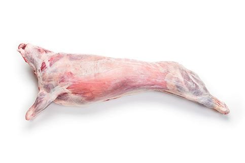 Frozen Lamb